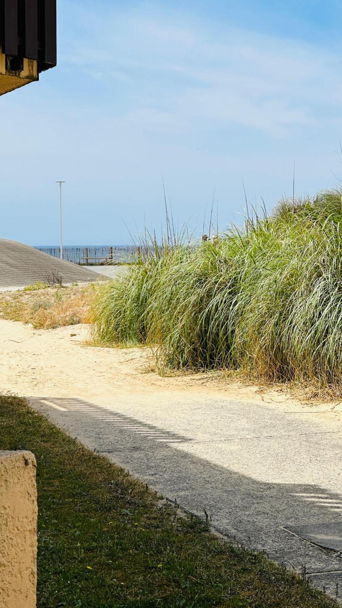 Appartement 2 A 4 Personnes A 50M De La Plage Lacanau Exteriér fotografie