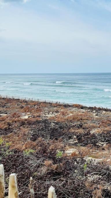 Appartement 2 A 4 Personnes A 50M De La Plage Lacanau Exteriér fotografie