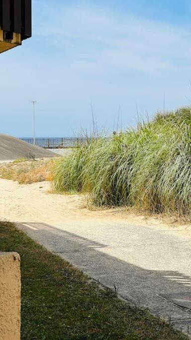 Appartement 2 A 4 Personnes A 50M De La Plage Lacanau Exteriér fotografie